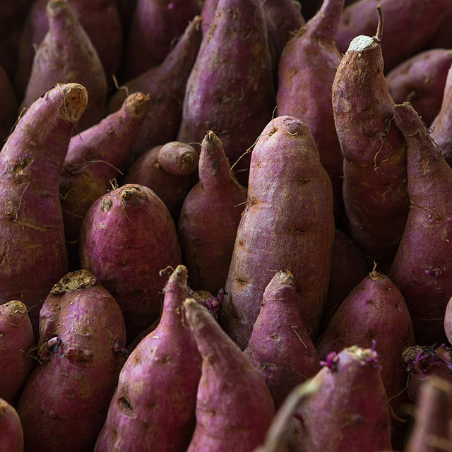 Extrato de Batata Doce Roxa