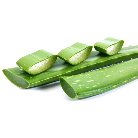 Extrato de Aloe Vera