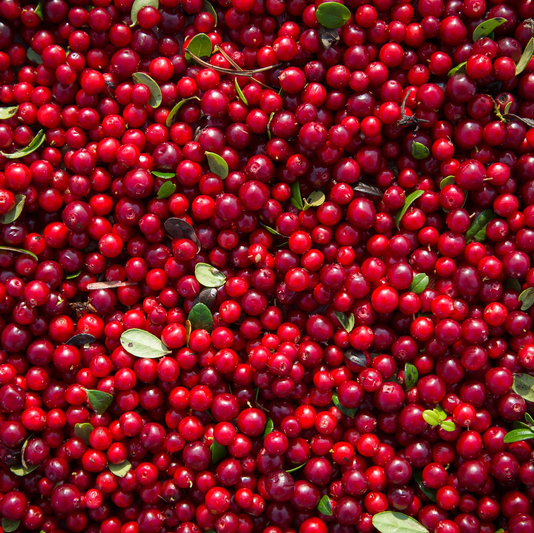 Extrato de Lingonberry