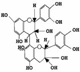 Estrutura molecular