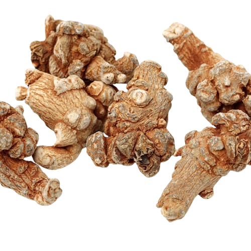 Extrato de raiz de Panax Notoginseng Saponinas totais de Notoginseng