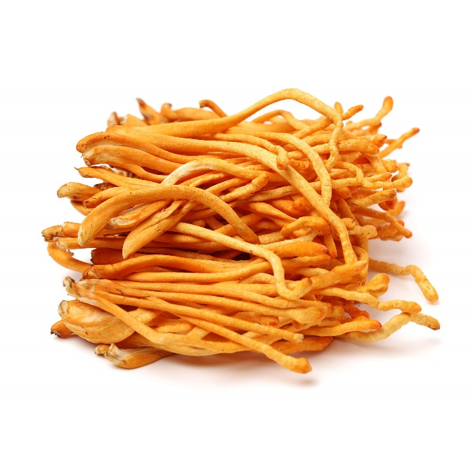 Cordyceps Militaris Powder Extract